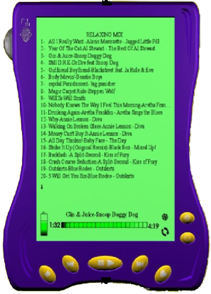 personal digital radio